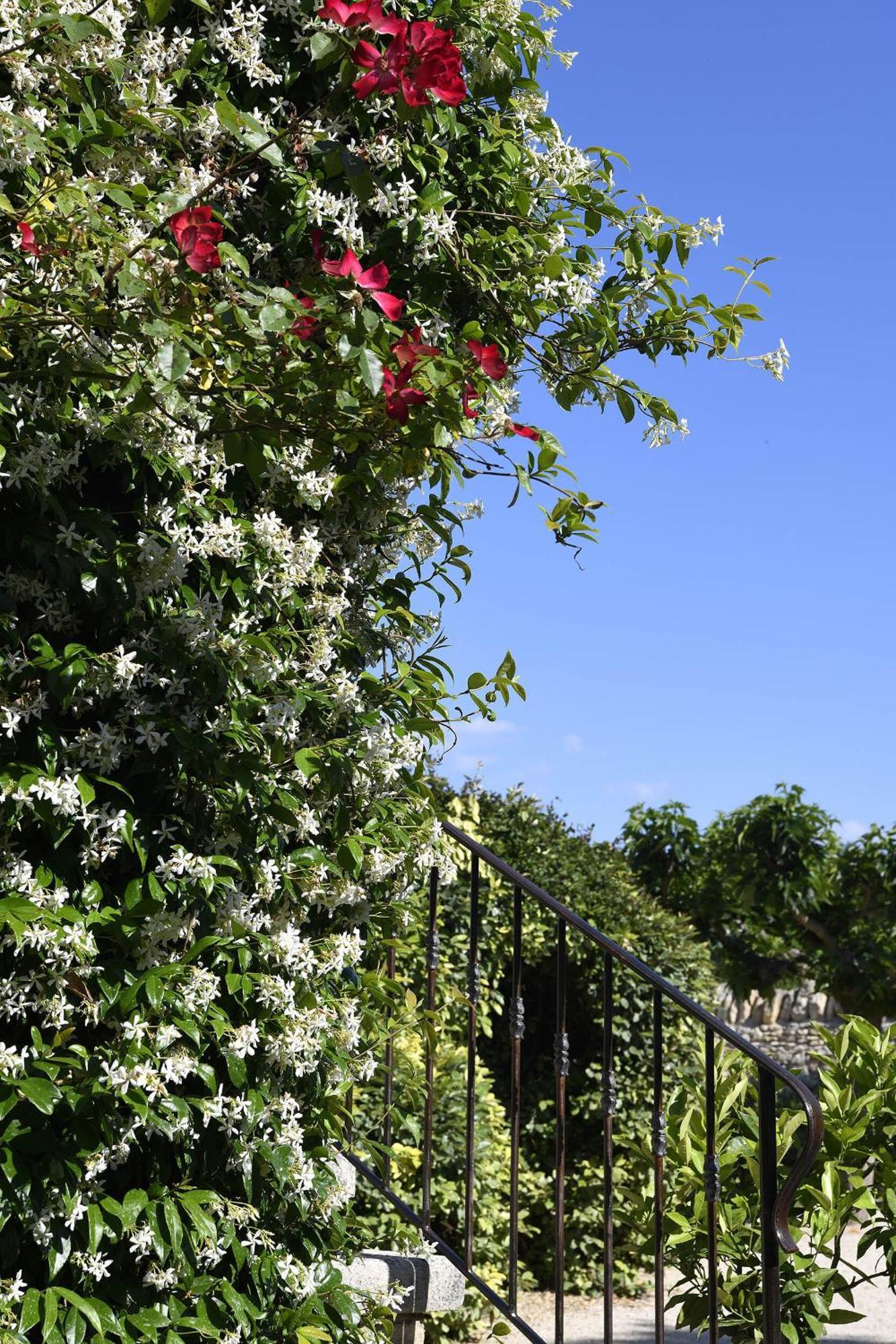 Bastide Des Demoiselles Roussillon (Vaucluse) Exterior foto