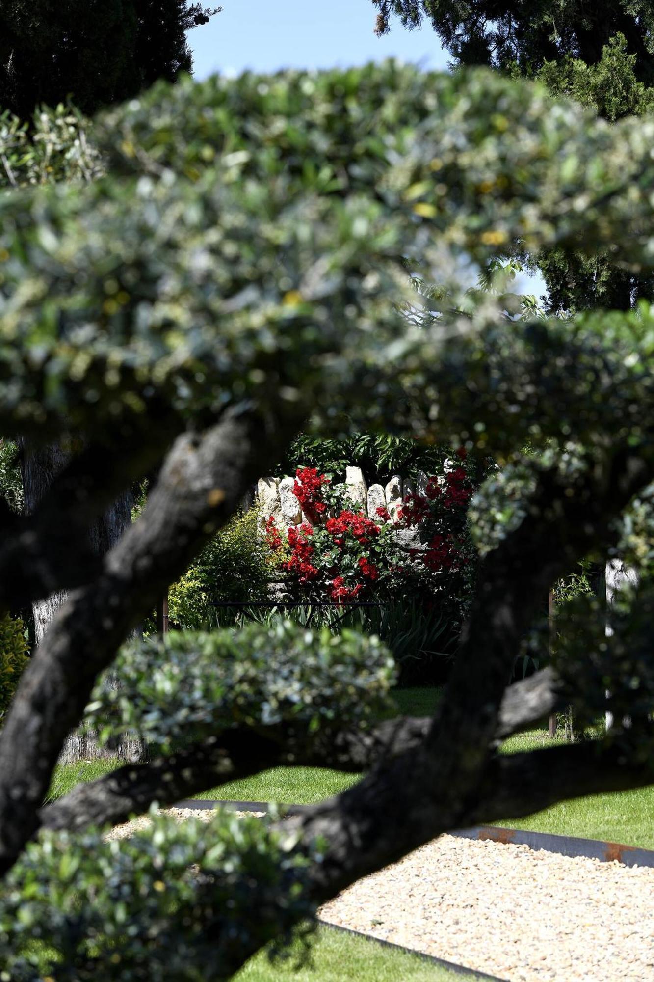 Bastide Des Demoiselles Roussillon (Vaucluse) Exterior foto