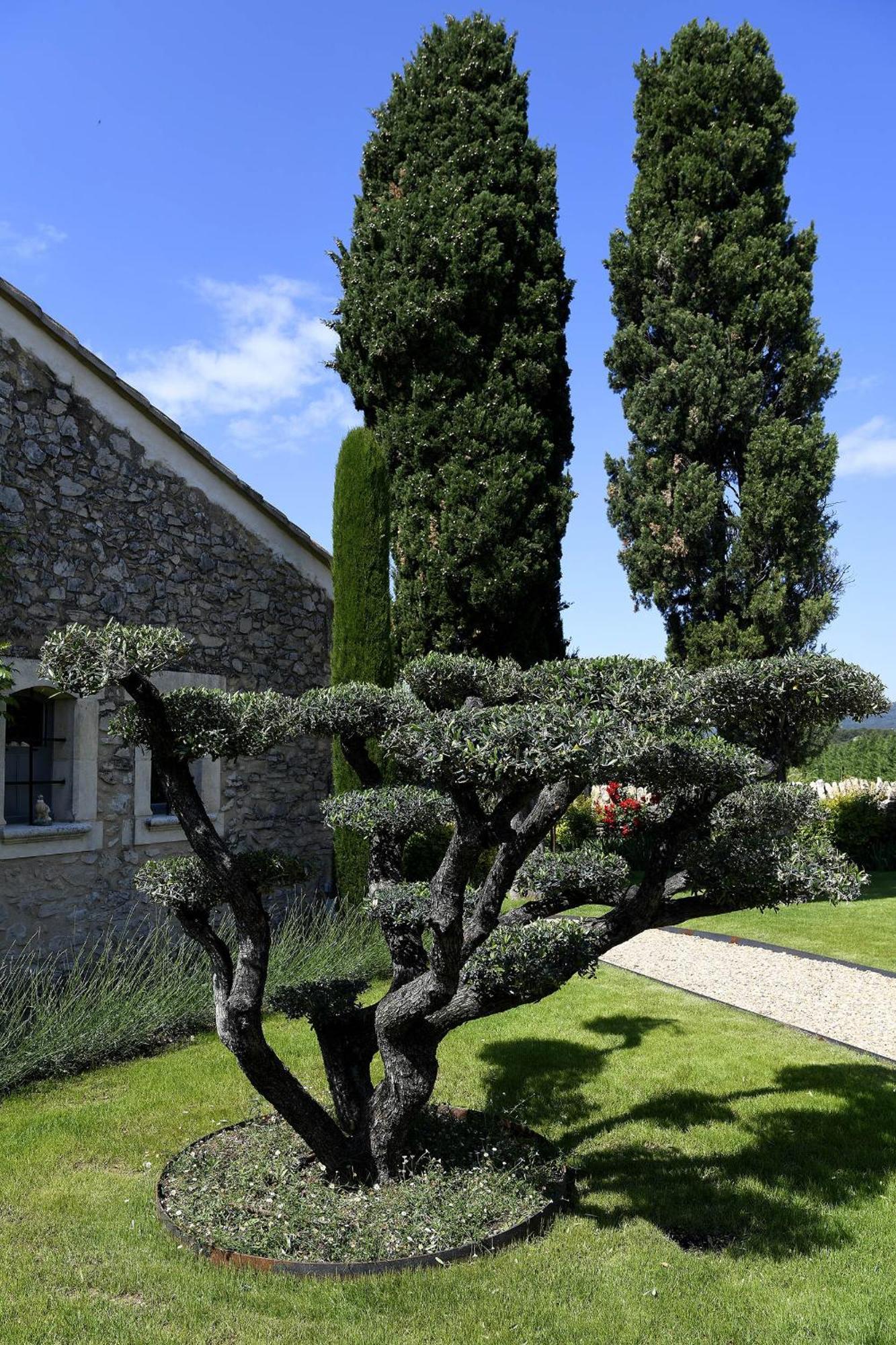 Bastide Des Demoiselles Roussillon (Vaucluse) Exterior foto