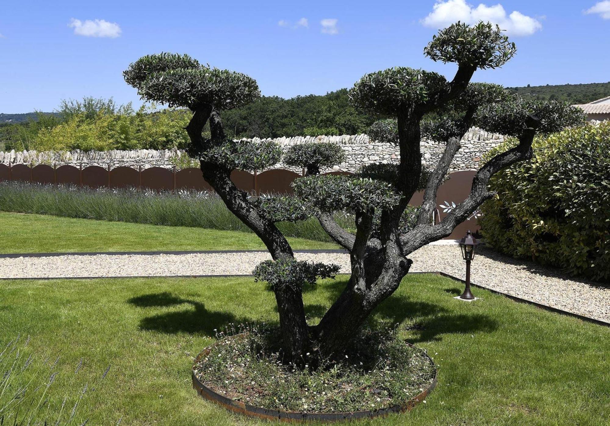 Bastide Des Demoiselles Roussillon (Vaucluse) Exterior foto